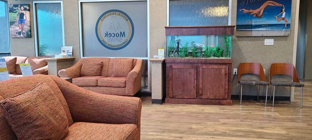 the-aquarium-maintenance-business-designing-installing-and-maintaining-aquariums-for-profit