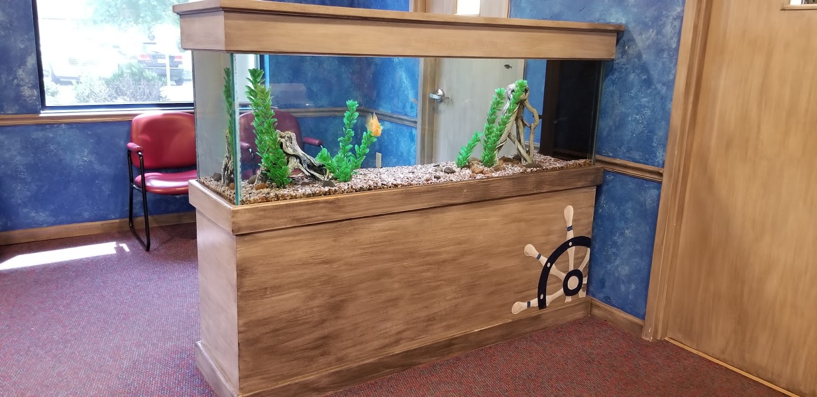 the-aquarium-maintenance-business-designing-installing-and-maintaining-aquariums-for-profit