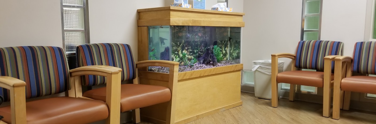 the-aquarium-maintenance-business-designing-installing-and-maintaining-aquariums-for-profit