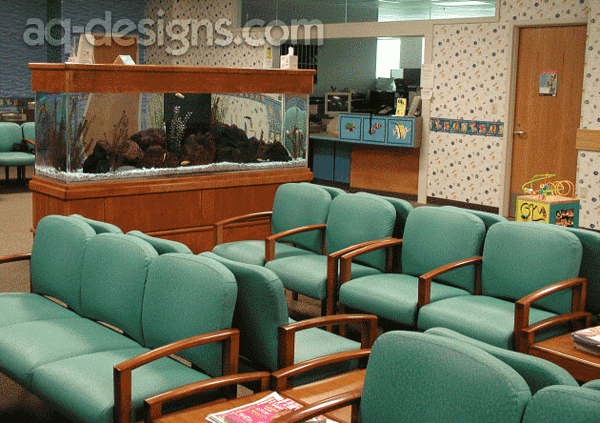 the-aquarium-maintenance-business-designing-installing-and-maintaining-aquariums-for-profit