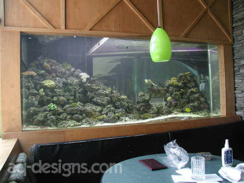 the-aquarium-maintenance-business-designing-installing-and-maintaining-aquariums-for-profit