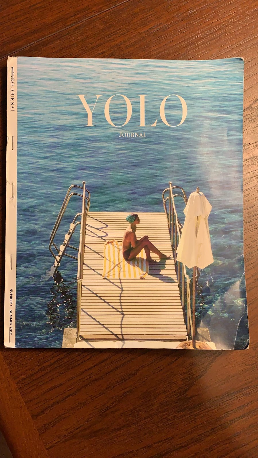 yolo-intel