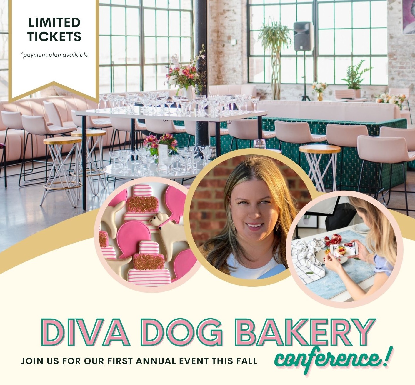 diva-dog-bakery