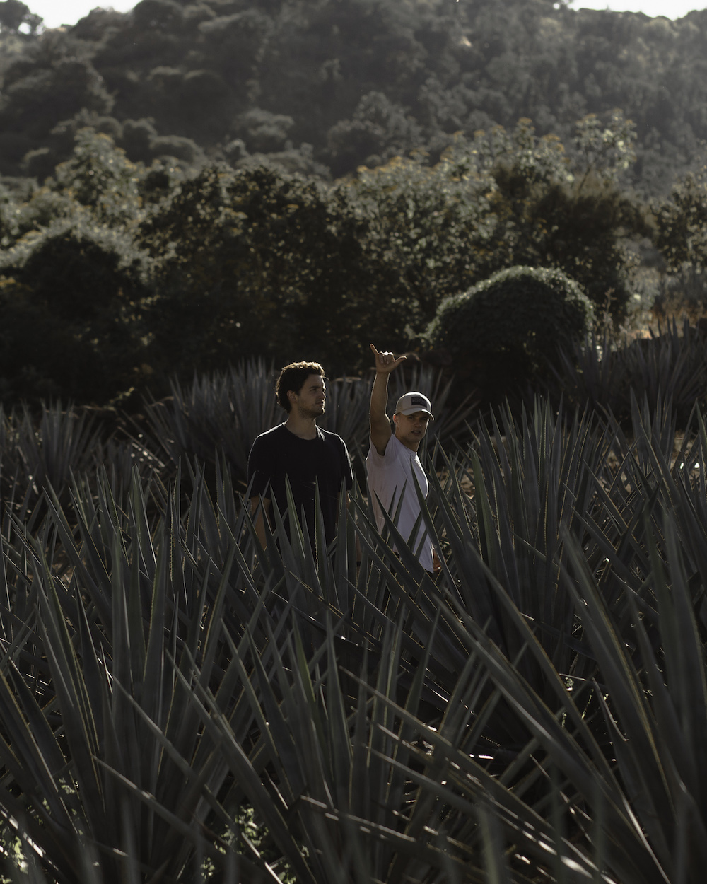 nosotros-tequila-mezcal