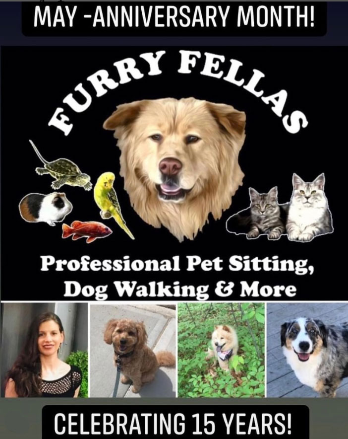 furry-fellas-pet-service-llc