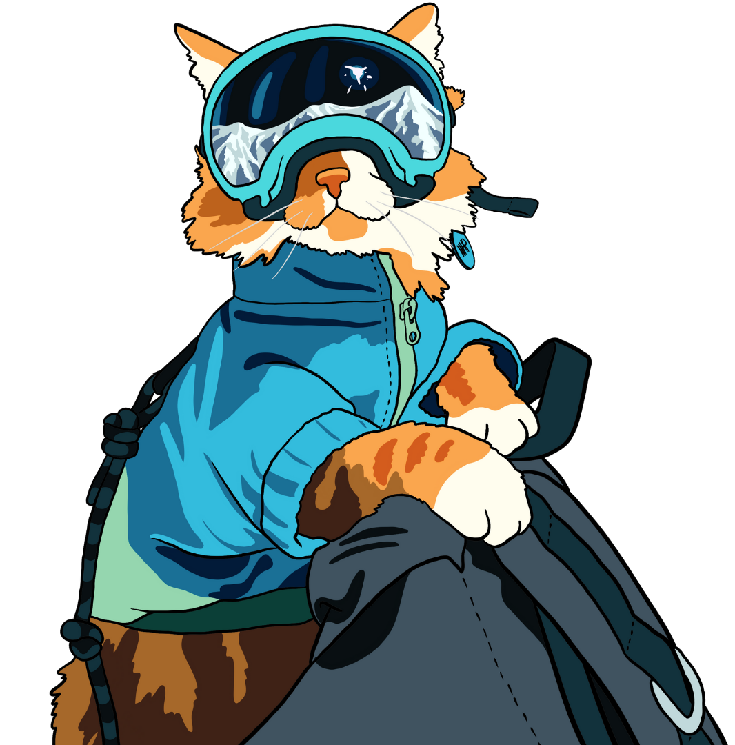 catsiverse