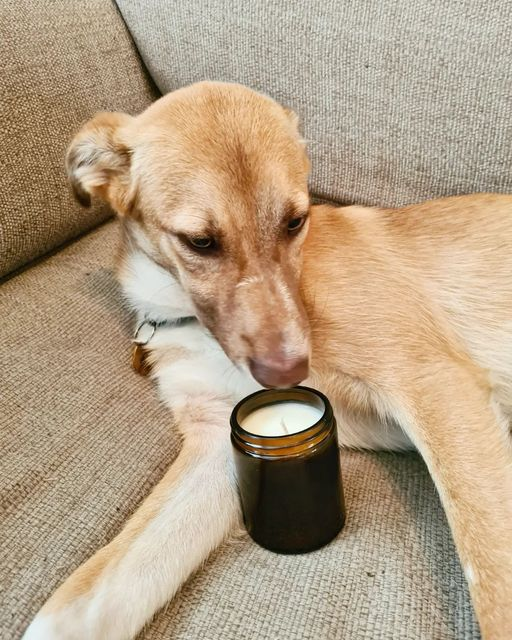 vintage-vegan-candle-co