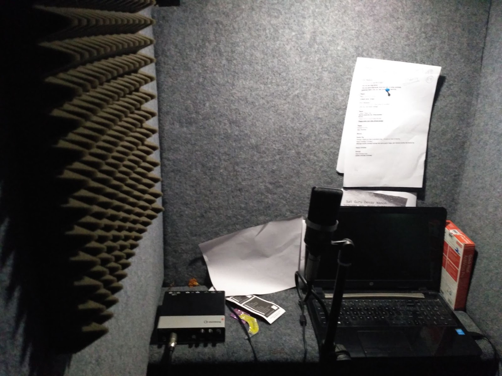 voice-over-mehak
