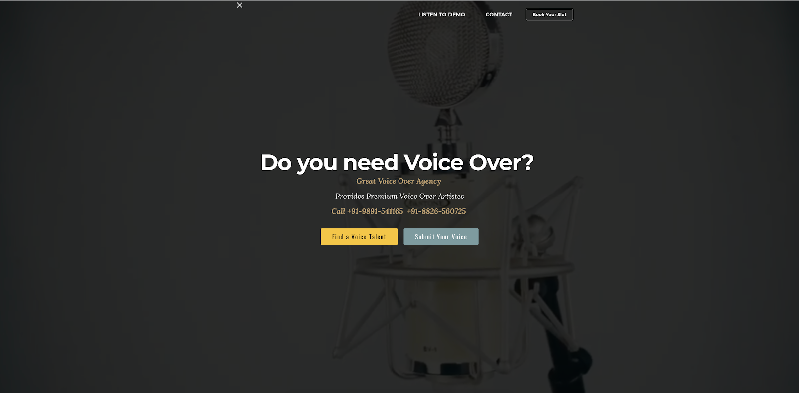 voice-over-mehak
