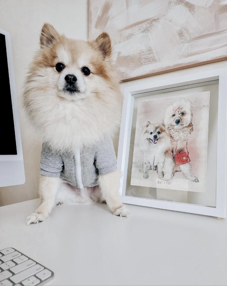 custom-pet-portraits-by-tiffany-dnaka