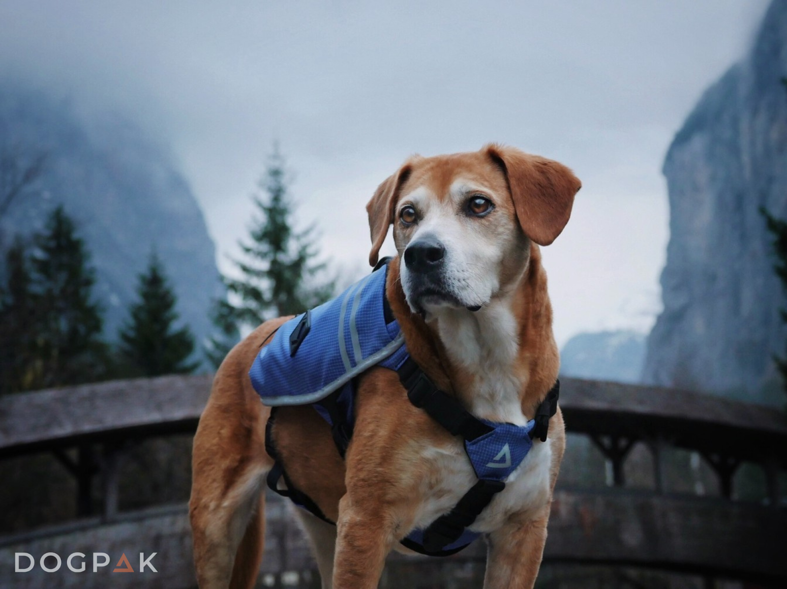 dogpak