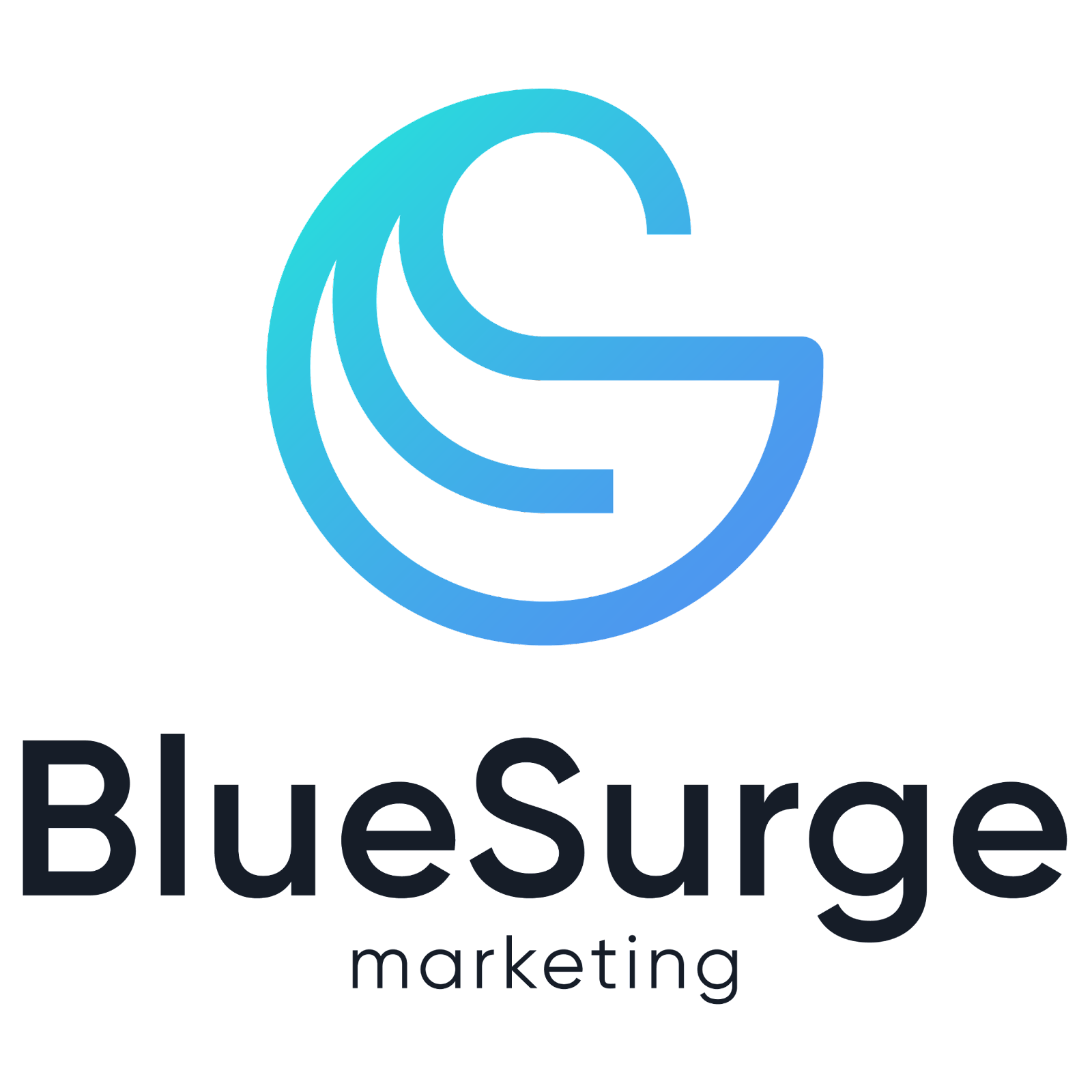 blue-surge-marketing-agency