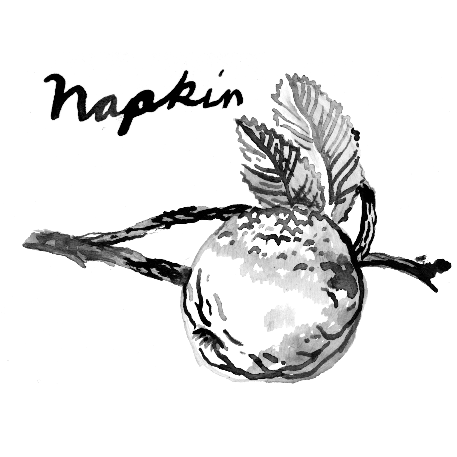 napkin-llc