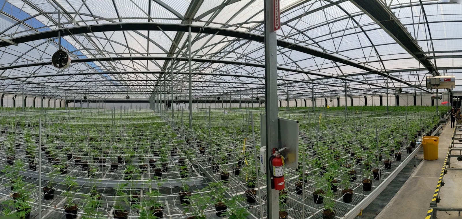 growers-house-d6954aa0-6753-4319-9e23-c1eceab9f3c0