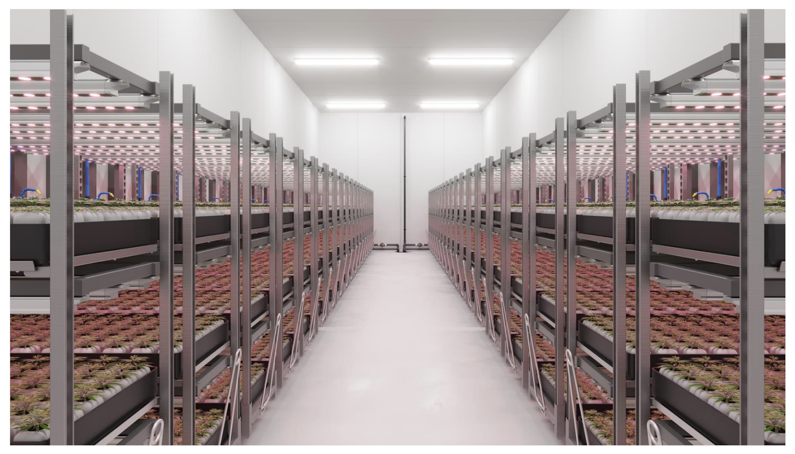 growers-house-d6954aa0-6753-4319-9e23-c1eceab9f3c0