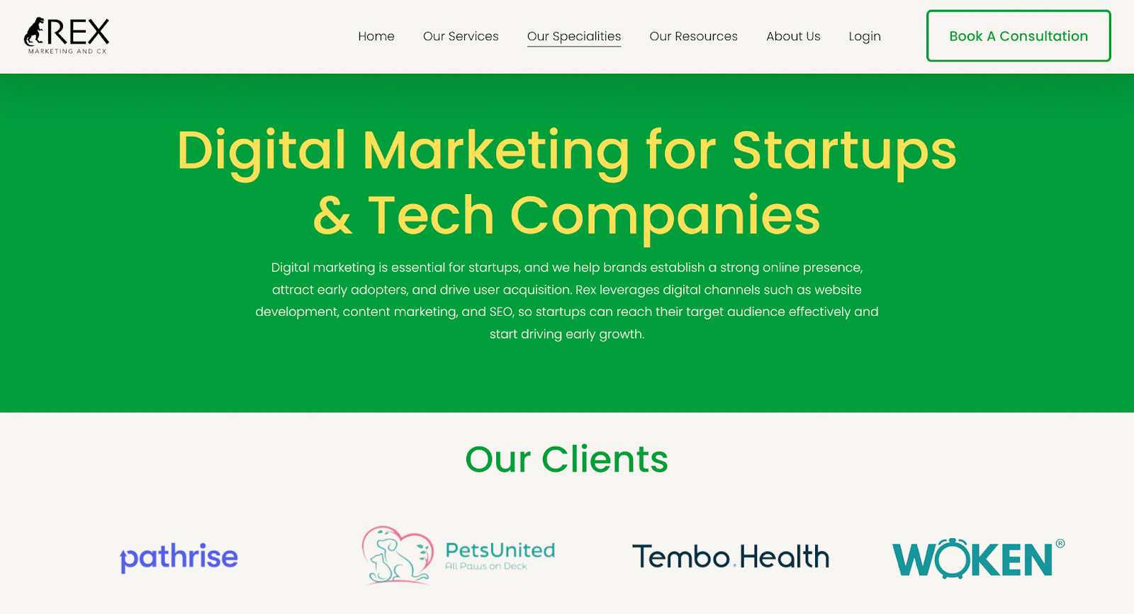 rex-marketing-and-cx