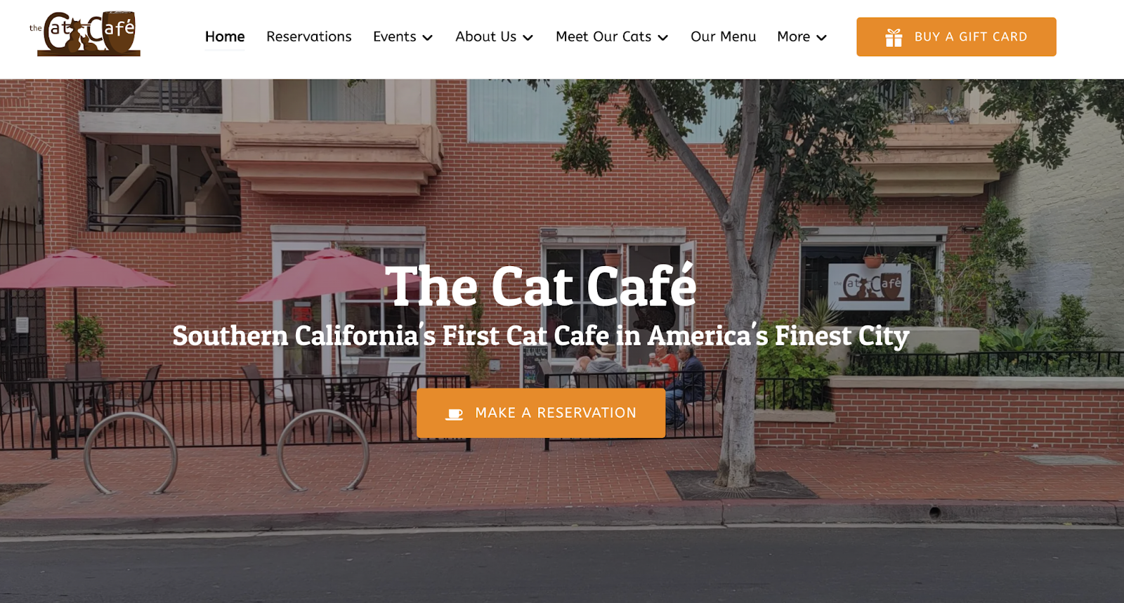 the-cat-cafe