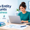 Micro Entity Accounts