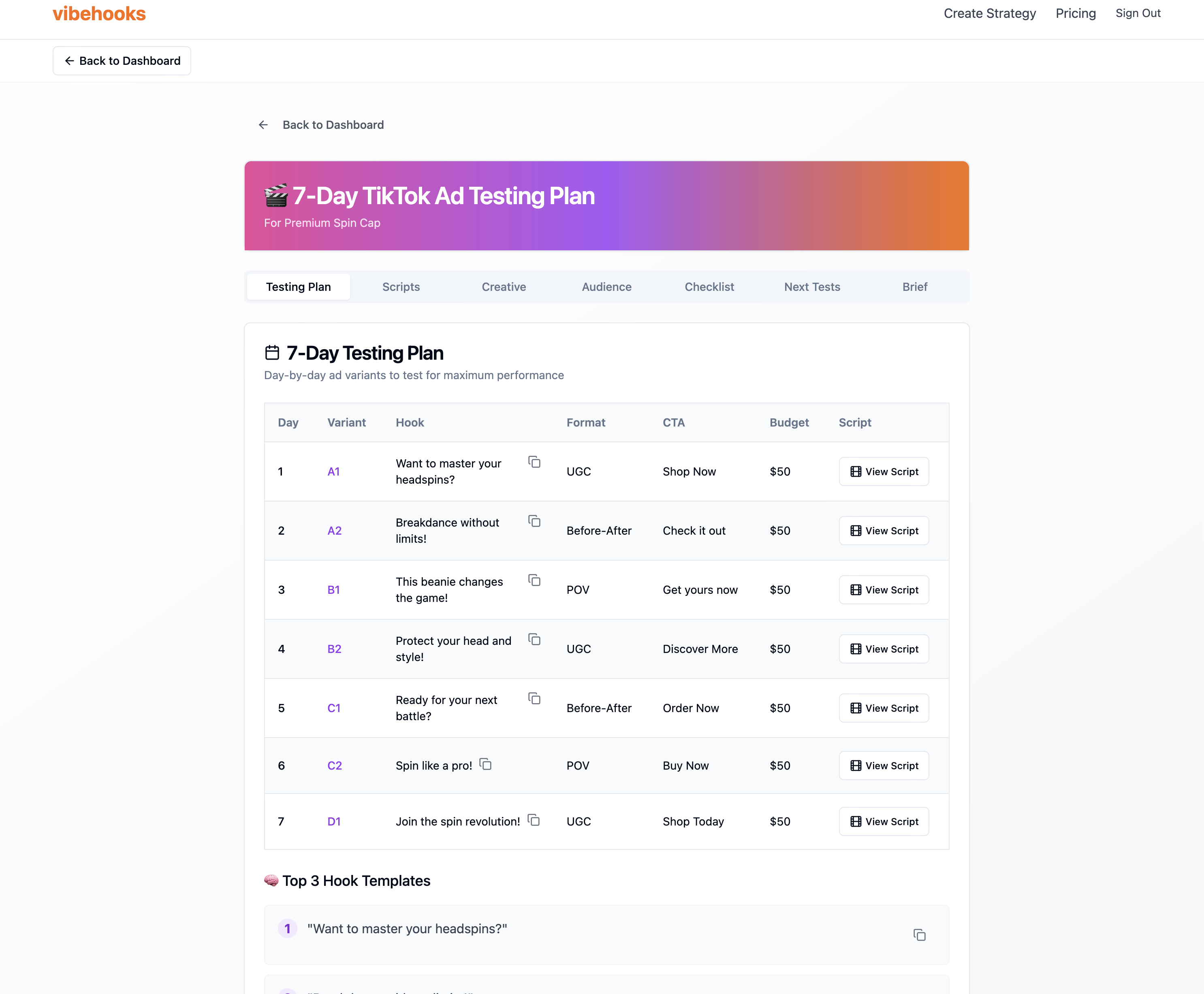vibehooks website screenshot