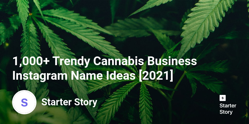 1,000+ Trendy Cannabis Business Instagram Name Ideas [2025] - Starter